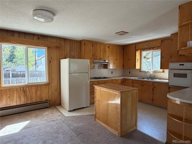 115 Hill St, Buena Vista, CO 81211