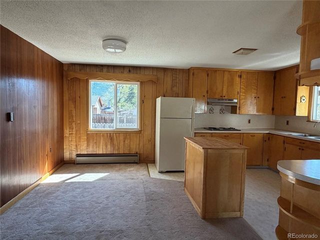 115 Hill St, Buena Vista, CO 81211