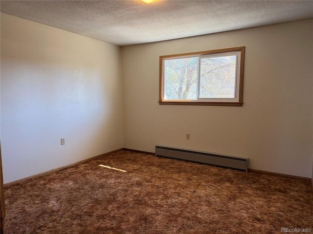 115 Hill St, Buena Vista, CO 81211