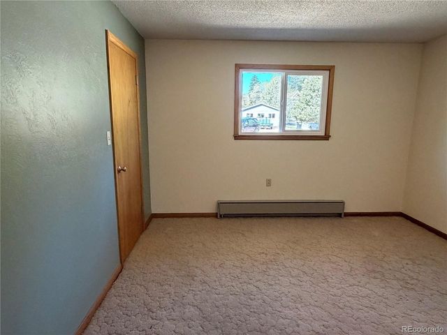 115 Hill St, Buena Vista, CO 81211