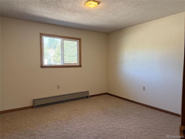 115 Hill St, Buena Vista, CO 81211