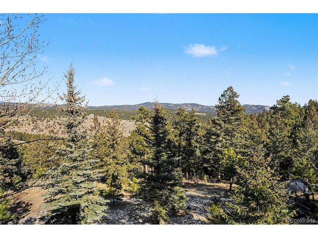 29359 Buchanan Dr, Evergreen, CO 80439