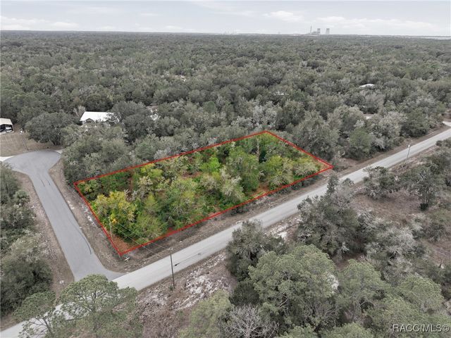 9920 N Pink Moss Point, Crystal River, FL 34428