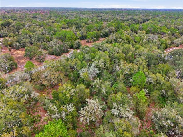 9920 N Pink Moss Point, Crystal River, FL 34428