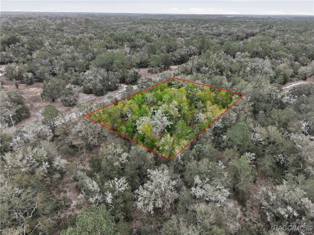 9920 N Pink Moss Point, Crystal River, FL 34428