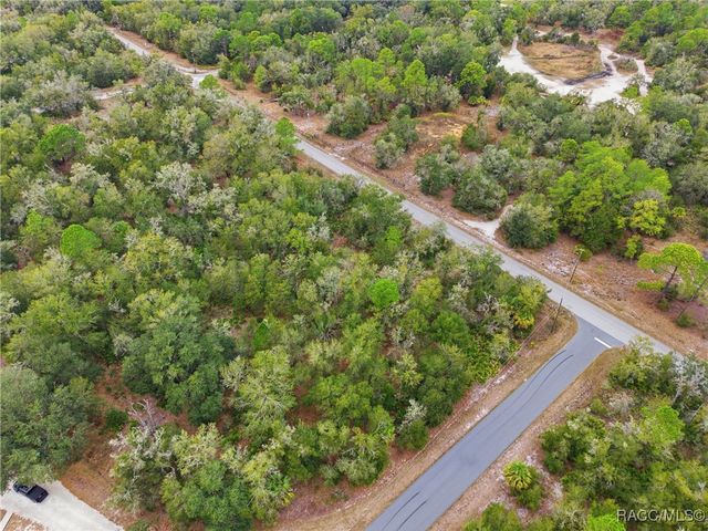 9920 N Pink Moss Point, Crystal River, FL 34428