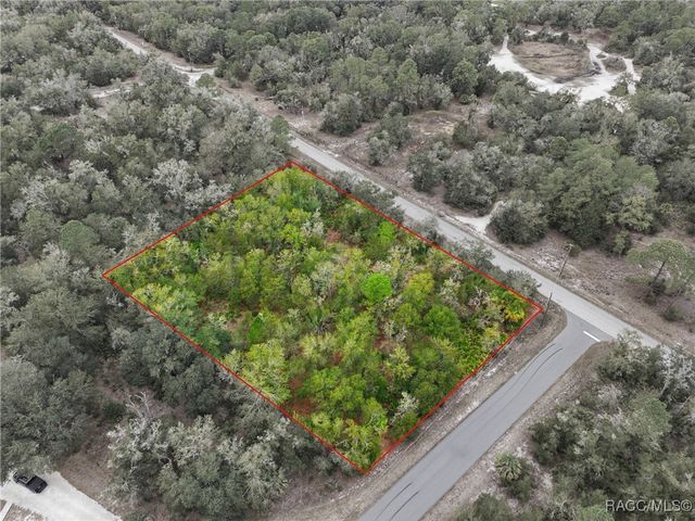 9920 N Pink Moss Point, Crystal River, FL 34428