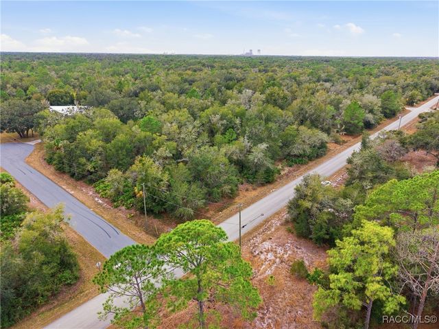 9920 N Pink Moss Point, Crystal River, FL 34428