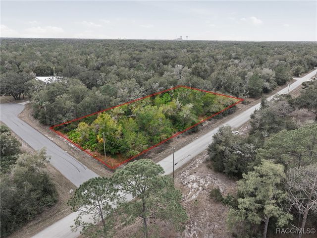 9920 N Pink Moss Point, Crystal River, FL 34428