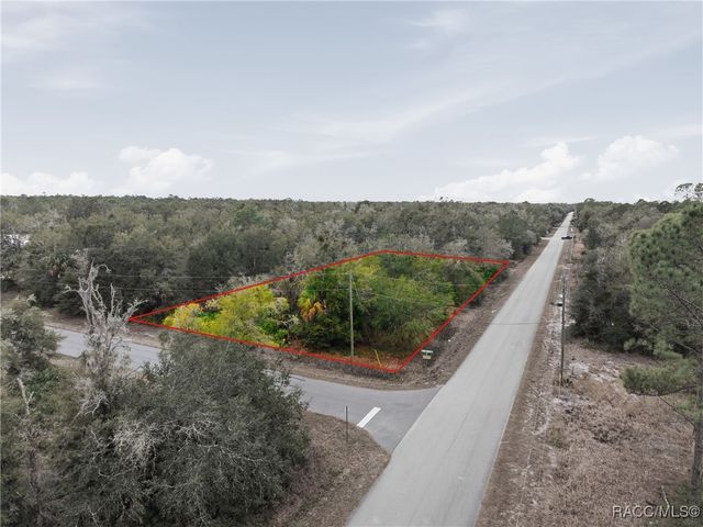 9920 N Pink Moss Point, Crystal River, FL 34428