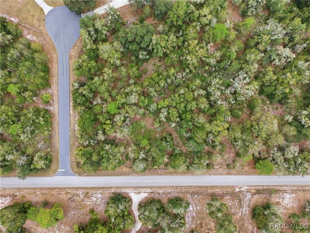 9920 N Pink Moss Point, Crystal River, FL 34428