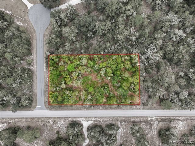 9920 N Pink Moss Point, Crystal River, FL 34428