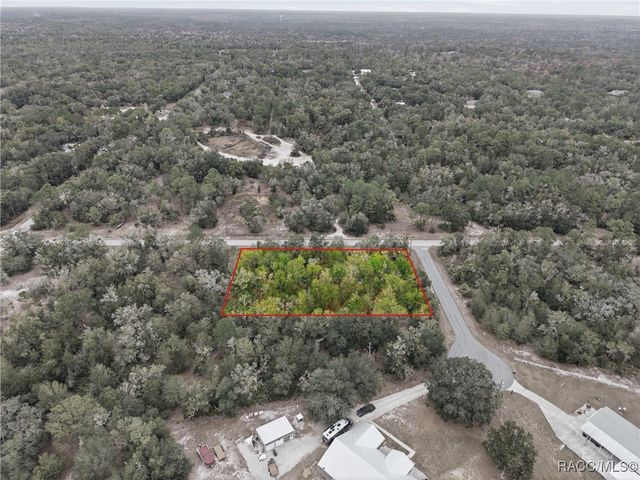 9920 N Pink Moss Point, Crystal River, FL 34428