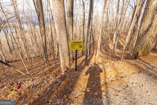 0 Frog Pond Road, Hiawassee, GA 30546