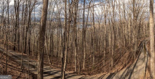 0 Frog Pond Road, Hiawassee, GA 30546