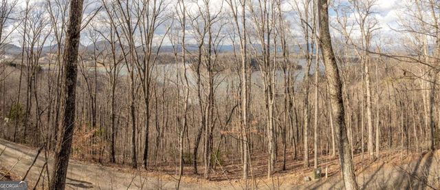 0 Frog Pond Road, Hiawassee, GA 30546