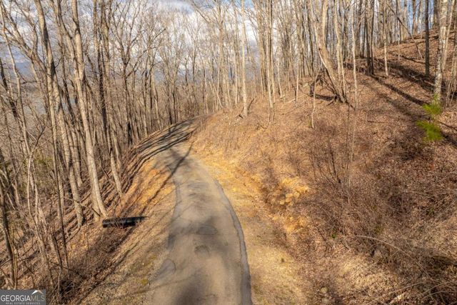 0 Frog Pond Road, Hiawassee, GA 30546