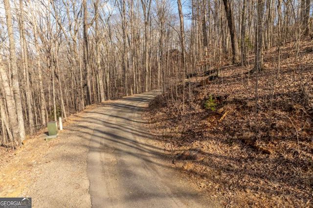 0 Frog Pond Road, Hiawassee, GA 30546
