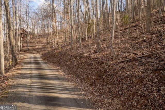 0 Frog Pond Road, Hiawassee, GA 30546