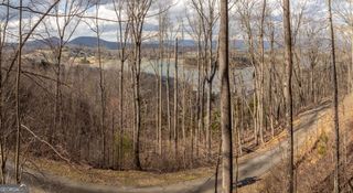 0 Frog Pond Road, Hiawassee, GA 30546