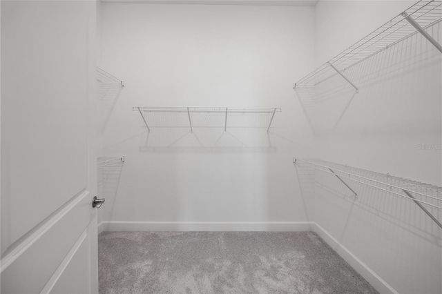 6244 TALON PRESERVE DRIVE, Nokomis, FL 34275