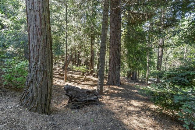 3086 Ridgecrest Way, Pollock Pines, CA 95726
