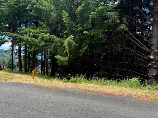 678 Wolverine Way, Shelter Cove, CA 95589