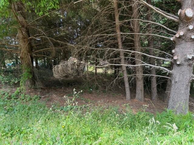 678 Wolverine Way, Shelter Cove, CA 95589