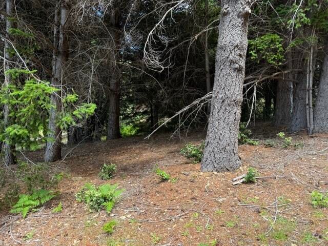 678 Wolverine Way, Shelter Cove, CA 95589