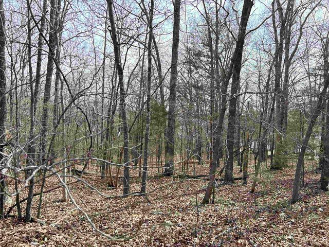 TBD Giles Road, Hardy, AR 72542