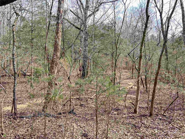TBD Giles Road, Hardy, AR 72542