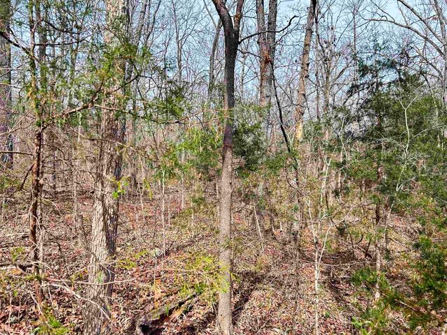TBD Giles Road, Hardy, AR 72542