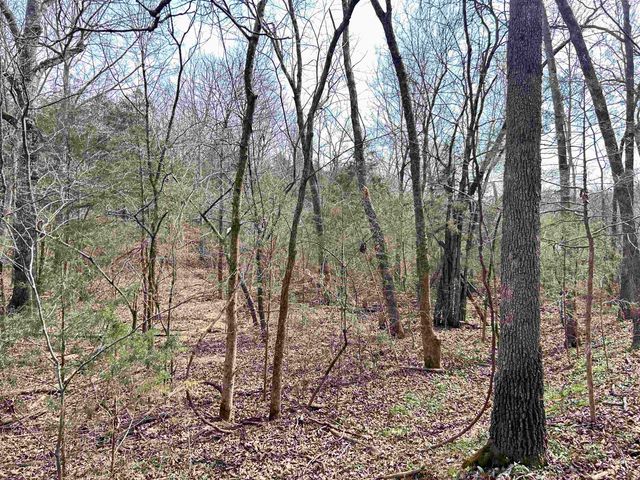 TBD Giles Road, Hardy, AR 72542
