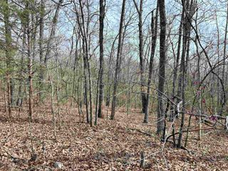 TBD Giles Road, Hardy, AR 72542