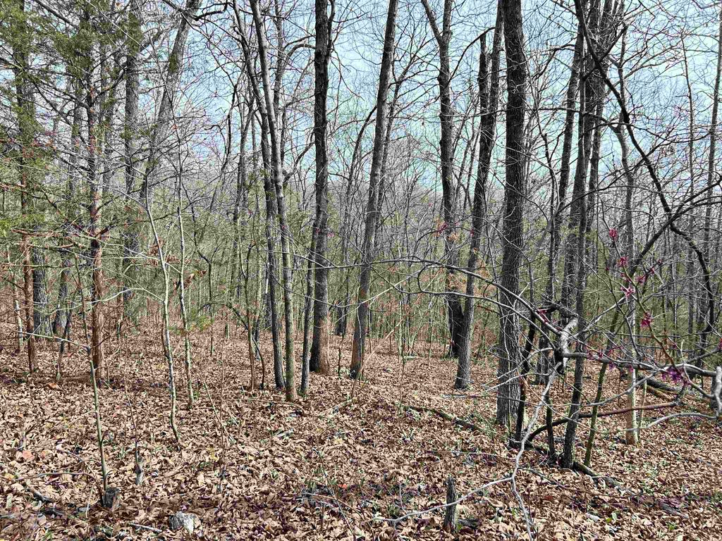 TBD Giles Road, Hardy, AR 72542