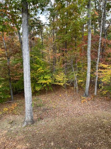 120 CHVAL DR, Counce, TN 38326