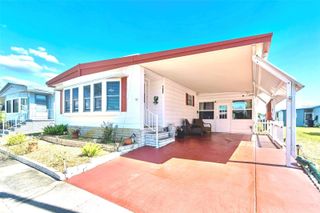133 CEDAR DRIVE, Palm Harbor, FL 34684