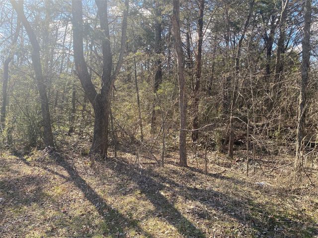 TBD Lucky 13 Road, Pottsboro, TX 75076