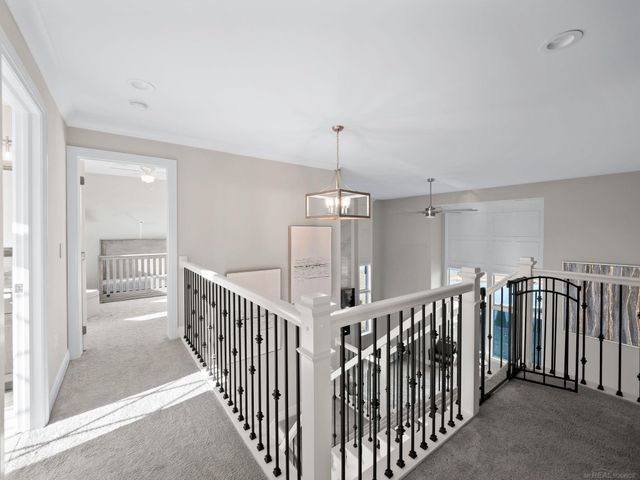 50155 N Anita Way, Macomb Twp, MI 48044