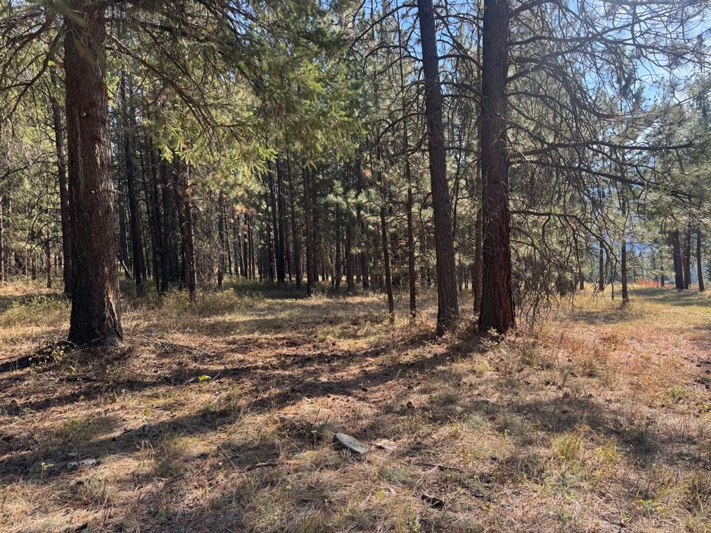 10 Munson Creek Road, Thompson Falls, MT 59873 photo 3