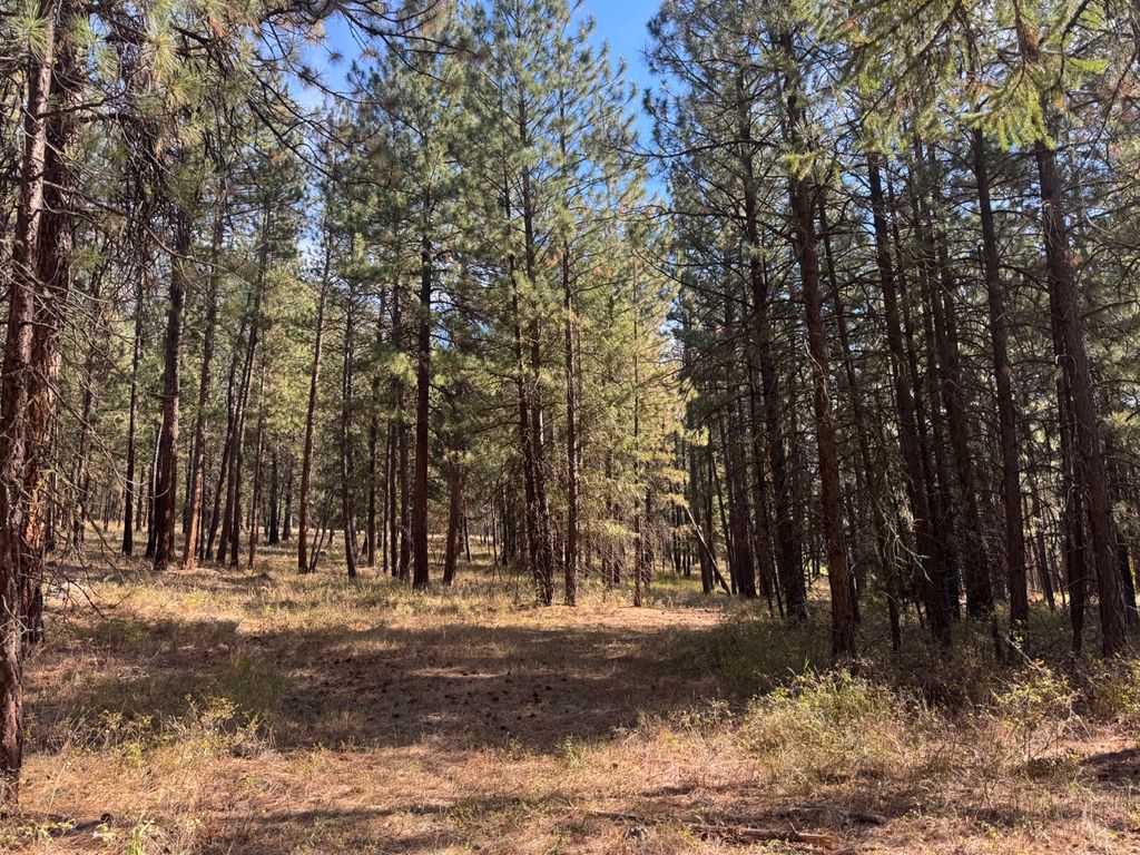 10 Munson Creek Road, Thompson Falls, MT 59873 photo 4