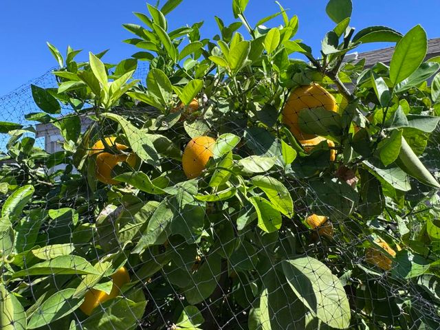 81620 Avenue 49 164b, Indio, CA 92201