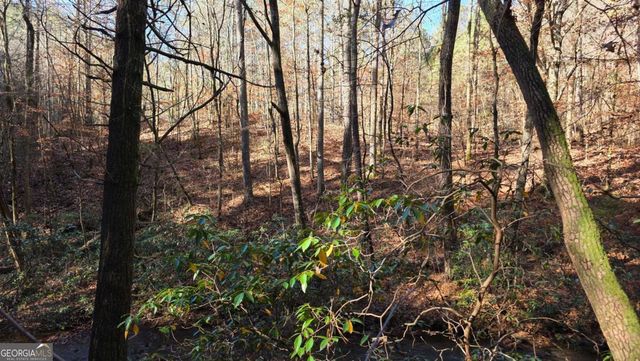 0 Dell Moore Road, Marble Hill, GA 30148