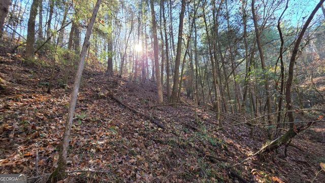 0 Dell Moore Road, Marble Hill, GA 30148