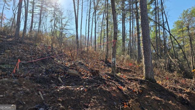 0 Dell Moore Road, Marble Hill, GA 30148