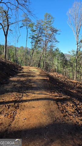 0 Dell Moore Road, Marble Hill, GA 30148