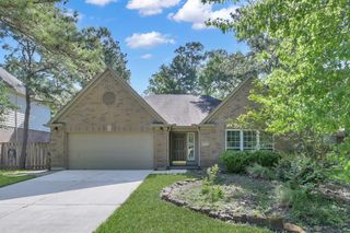 19 E Summer Storm Circle, The Woodlands, TX 77381