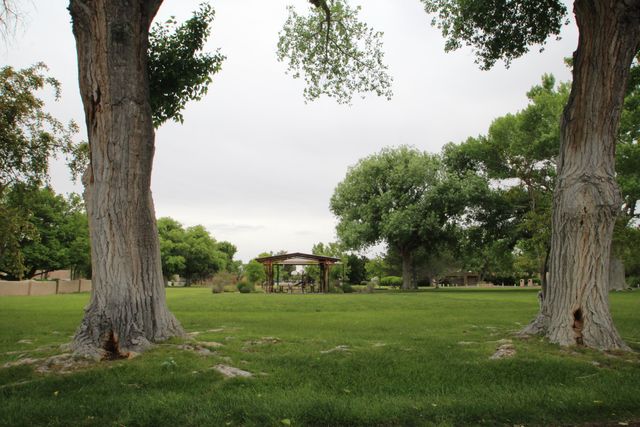 6504 Poza Rica Court NW, Albuquerque, NM 87107