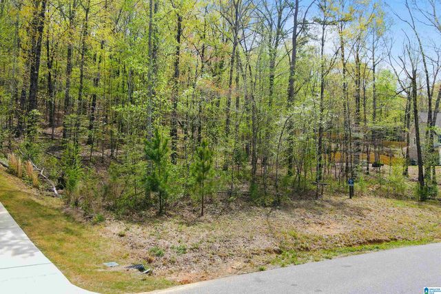 712 HICKORY HOLLOW, Chelsea, AL 35043