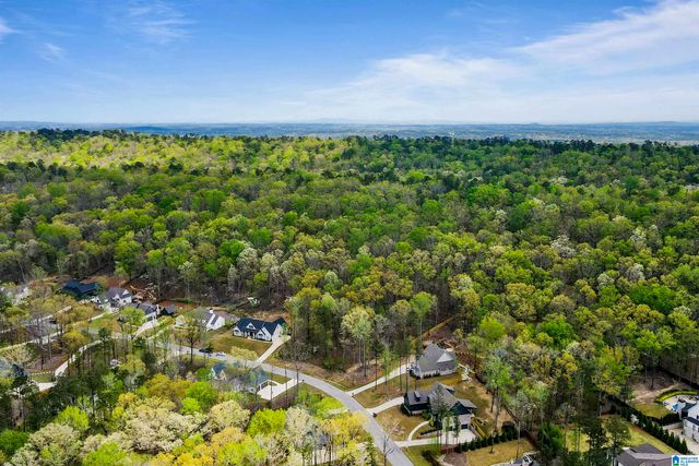 712 HICKORY HOLLOW, Chelsea, AL 35043
